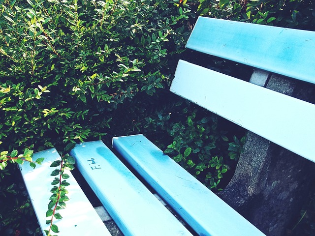 雷速：三分练 七分吃：吃发芽土豆会不会中毒？.